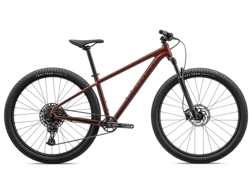 Specialized ROCKHOPPER EXPERT 29 - L,GLOSS RUSTED RED / SATIN RUSTED RED, 2023