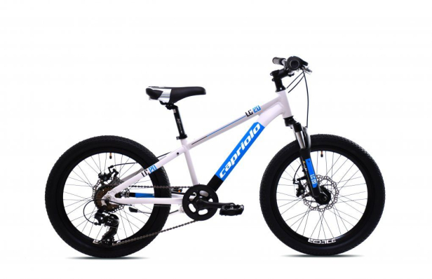 CAPRIOLO MTB LC 20"/AL, szürke, 2025 