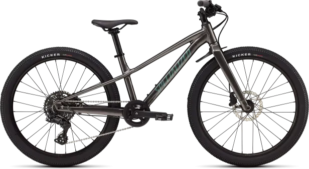 Specialized Riprock 24, Gloss Smoke / Fjord Metallic, 2026 